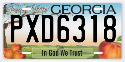 GA license plate PXD6318
