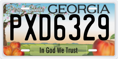 GA license plate PXD6329