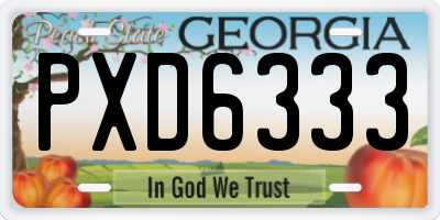 GA license plate PXD6333