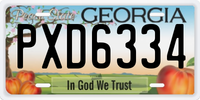 GA license plate PXD6334