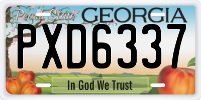 GA license plate PXD6337