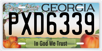 GA license plate PXD6339