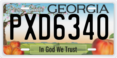 GA license plate PXD6340