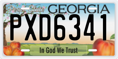 GA license plate PXD6341