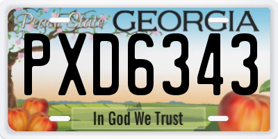 GA license plate PXD6343