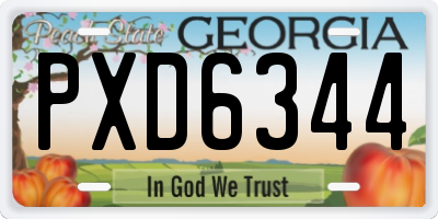 GA license plate PXD6344