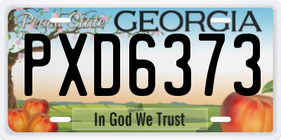 GA license plate PXD6373