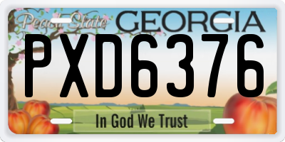 GA license plate PXD6376