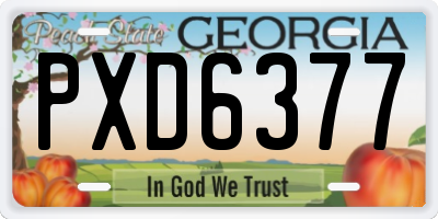GA license plate PXD6377