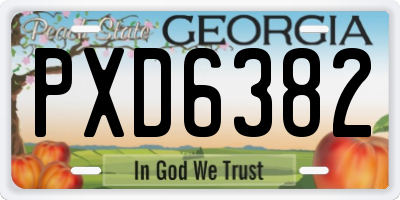 GA license plate PXD6382