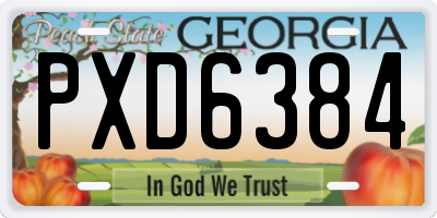 GA license plate PXD6384