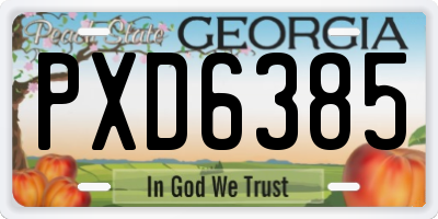 GA license plate PXD6385
