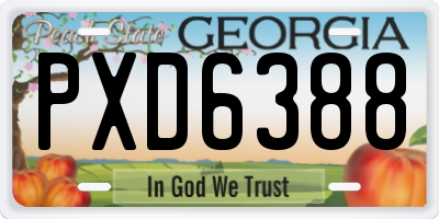 GA license plate PXD6388