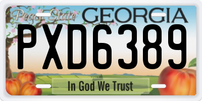 GA license plate PXD6389