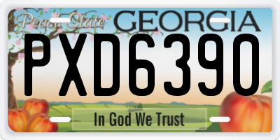 GA license plate PXD6390