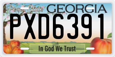 GA license plate PXD6391
