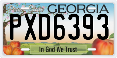 GA license plate PXD6393