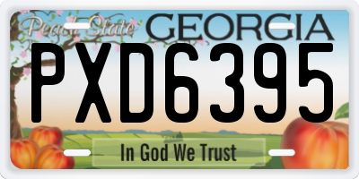 GA license plate PXD6395