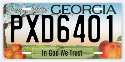 GA license plate PXD6401