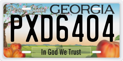 GA license plate PXD6404