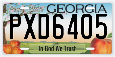 GA license plate PXD6405