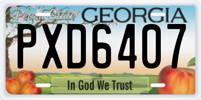 GA license plate PXD6407