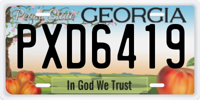 GA license plate PXD6419