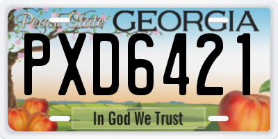 GA license plate PXD6421