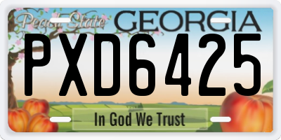 GA license plate PXD6425