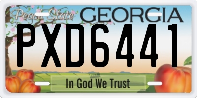 GA license plate PXD6441