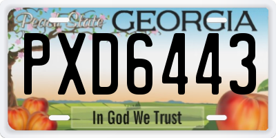 GA license plate PXD6443