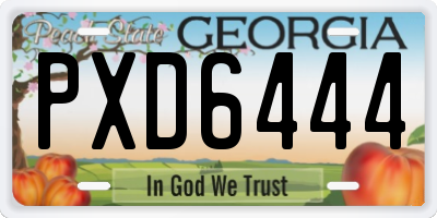 GA license plate PXD6444