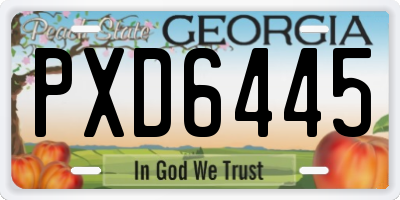 GA license plate PXD6445