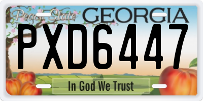 GA license plate PXD6447