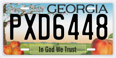 GA license plate PXD6448