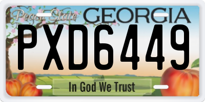GA license plate PXD6449