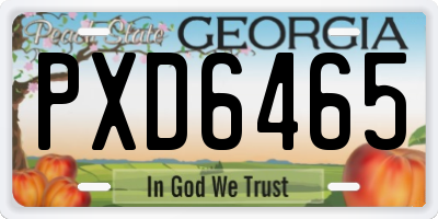 GA license plate PXD6465