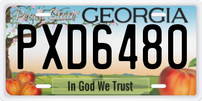 GA license plate PXD6480