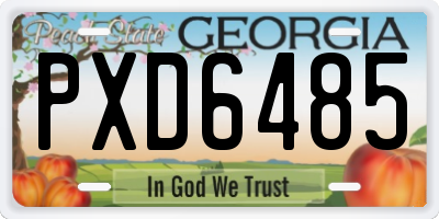 GA license plate PXD6485