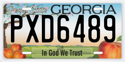 GA license plate PXD6489