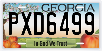 GA license plate PXD6499
