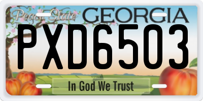 GA license plate PXD6503