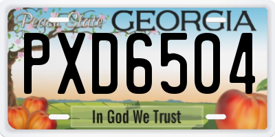 GA license plate PXD6504