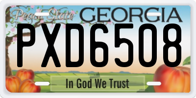GA license plate PXD6508