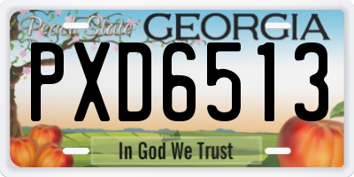 GA license plate PXD6513