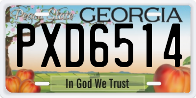 GA license plate PXD6514