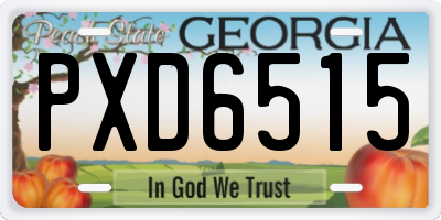 GA license plate PXD6515
