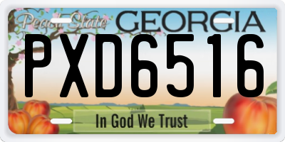 GA license plate PXD6516