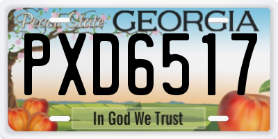 GA license plate PXD6517