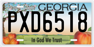 GA license plate PXD6518